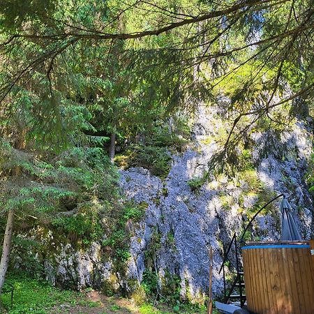 Pension Cabana Cetatile Ponorului Padiş Eksteriør billede