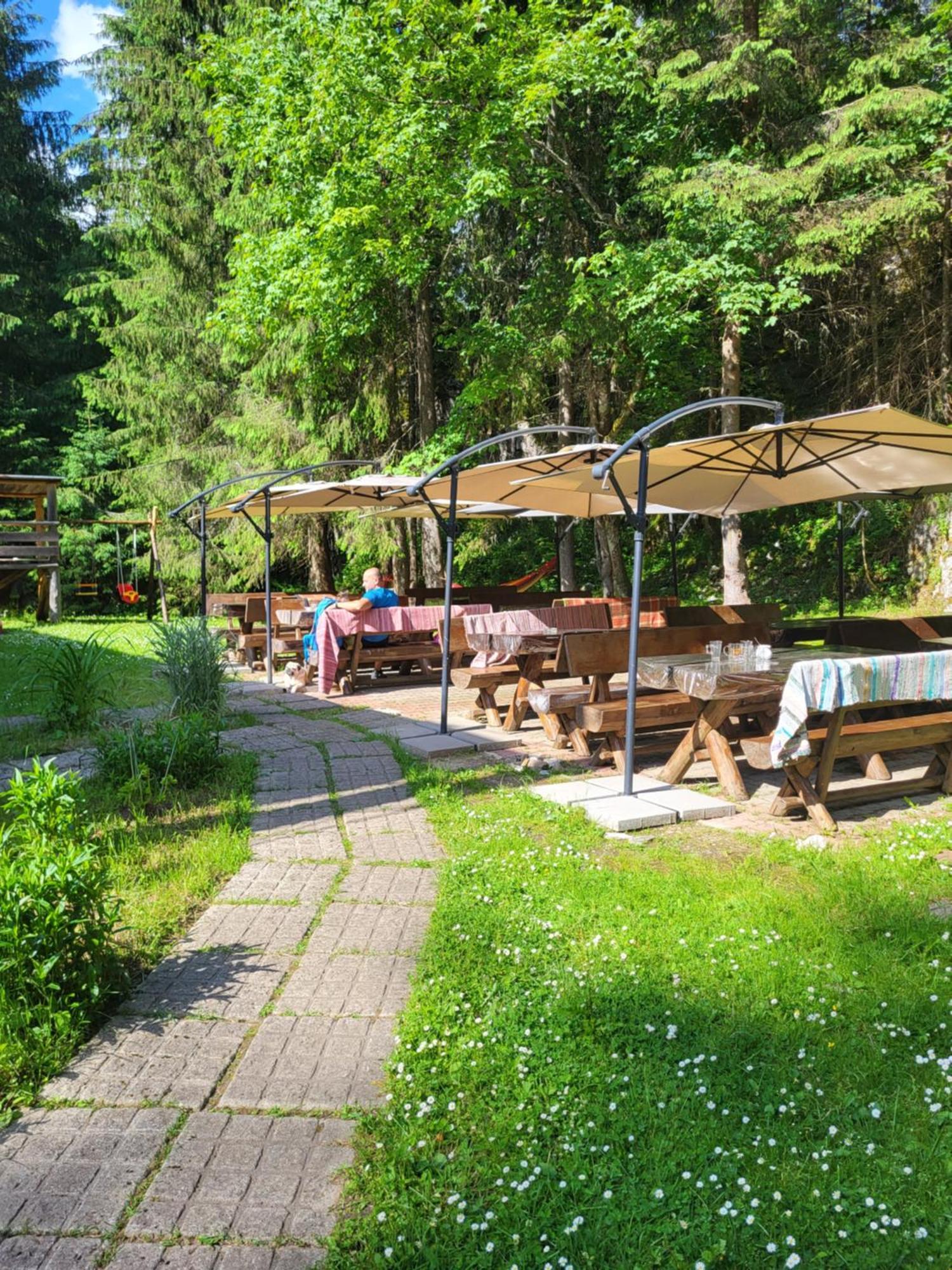 Pension Cabana Cetatile Ponorului Padiş Eksteriør billede